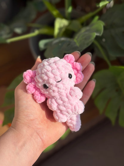 Baby Axolotl